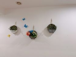 -倾城妃姿美疗中心