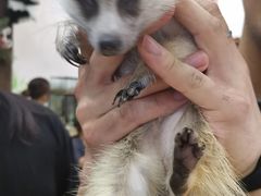 -藦茜花园宠物主题亲子互动体验馆(国顺东路店)