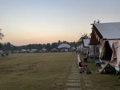 -上海海湾国家森林公园