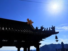 -金灯寺