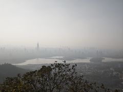 -紫金山山顶公园