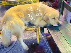 -八木轩·寻味大理白族民俗餐厅(文献路店)