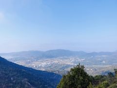 -三亚亚龙湾人间天堂鸟巢度假村