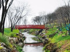 -羊山湖公园