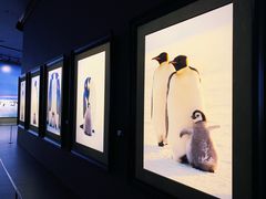 -罗红摄影艺术馆