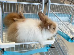 -怪兽屋·羊驼·猫咖·狗咖(俊华广场店)