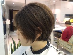 -潘多拉Hairsalon