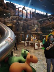 -卡通尼·Safari非洲探索乐园·生日会(金桥国际商业广场店)