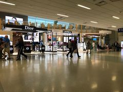 -达拉斯 沃斯堡国际机场