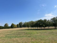 -汉长安城未央宫国家考古遗址公园