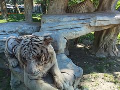 -北京野生动物园