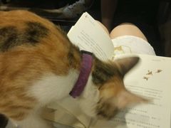 -看书吧(体育东横路店)