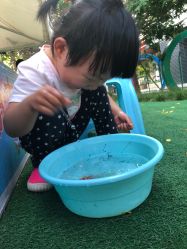 点击看大图 -萌宠亲子动物乐园(槐房万达店)