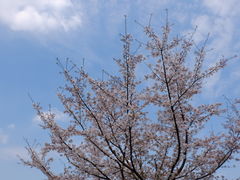 -静安雕塑公园