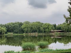 -北坞公园