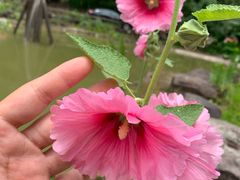 -白云源风景区