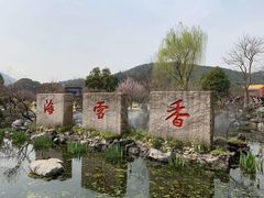 -香雪海