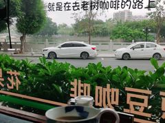 -OLD TREE老树咖啡·西餐厅(台山人工湖店)