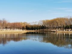 -大兴滨河森林公园