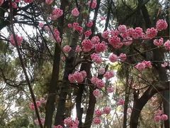 -昆明动物园