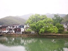 -鹿亭中村