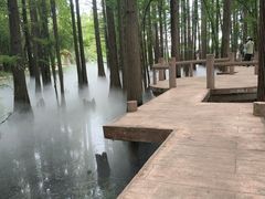 -东湖落雁景区