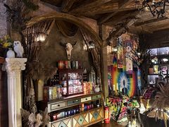 -雪灵魔法世界SHELLY’S TAROT(大良桂畔里店)