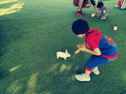 -萌宠亲子动物乐园(槐房万达店)