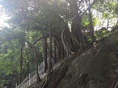 -乌山风景区