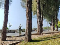 -宝安西湾红树林湿地公园