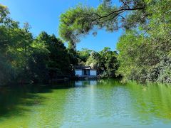 -深圳国际园林花卉博览园