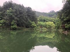 -缙云山景区