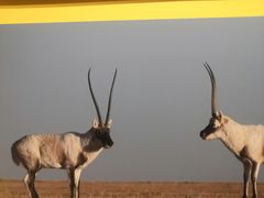 -中国湿地博物馆