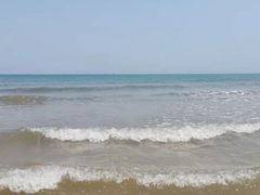 -渡海小渔村.老辈日照菜
