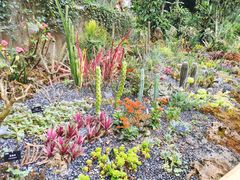 -中国科学院西双版纳热带植物园