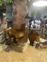 -Zoolung Zoolung动物主题公园(海信广场店)