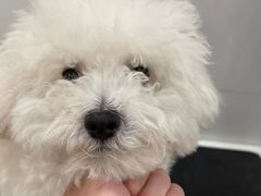 -comecome来吧宠物(奥克斯中心店)