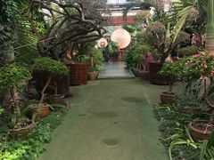 -呀路古热带植物园