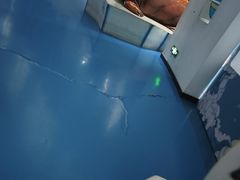 -泉城欧乐堡海洋极地世界