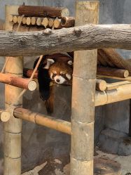 -Zoolung Zoolung动物主题公园(海信广场店)