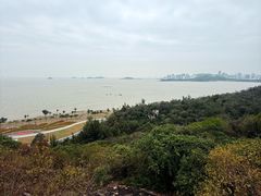 -野狸岛