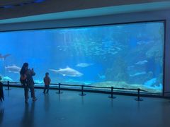 -海合安成都极地海洋公园