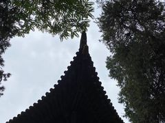 -兴教寺
