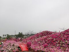 -盈香心动乐园