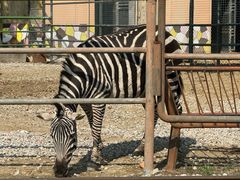 -常州淹城野生动物世界