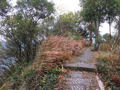 -龙坞茶村