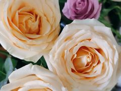 -拾花记花艺·求婚·订婚·生日布置(高新店)