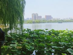 -济南大明湖景区