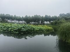 -金银湖国家城市湿地公园