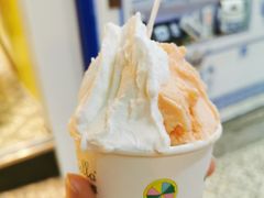 -柠檬车露(卖草地店)